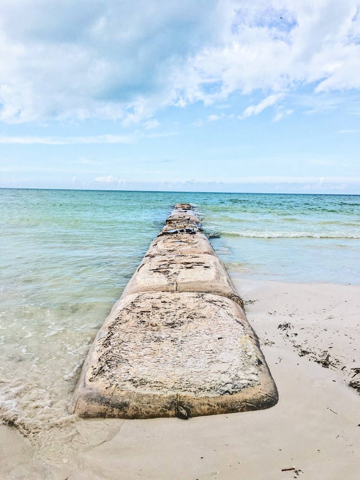 32DBBA10-AC9C-48A5-8870-56C7AB58EB06